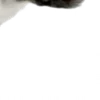 ⭐