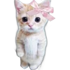 🐈