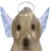 👼