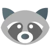 🦝