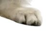 ⭐