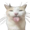 😝