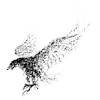 🐦‍⬛