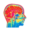 🧠