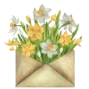 ✉️