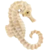 🦐