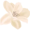 🌸