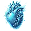 🫀
