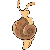 🐌