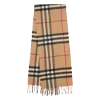 🧣