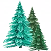 🌲