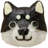 🐶