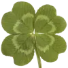 🍀