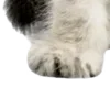 ⭐