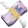 💸