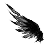 🐦‍⬛