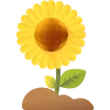 🌻