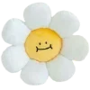 🌼