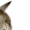 ⭐