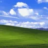 🌳