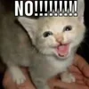 😱
