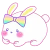 🐇