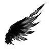 🐦‍⬛