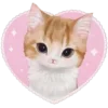 💗