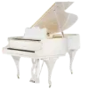 🎹