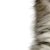 ⭐