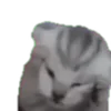 🙀