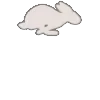 🐇