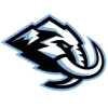 🦣