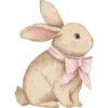 🐰
