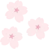 🌸