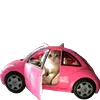 🚗