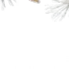 ⭐