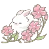 🐰