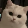 🤨