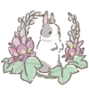 🐰