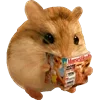 🐹