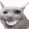 😸