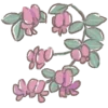 🌷