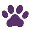 🐾