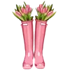 🌷
