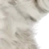 ⭐