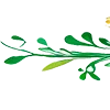 🌿