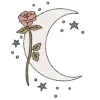 🌙