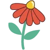 🌺