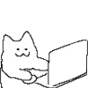 💻